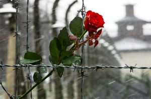 Міжнародний день визволення в’язнів нацистських концтаборів